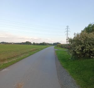Spacer po wsi i Brzezówka - Filip - 2