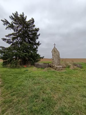 Mare de la Mairesse - Ludivine - 3