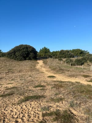 Vers l'écluse et plages des Granges à travers la forêt - anne - 5