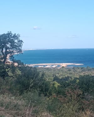 Vanuit de haven van Argeles-sur-Mer, Valmy en de hoogten… - Charline - 3
