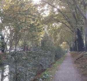Toulouse au bord de l"eau - Toulouse - 3