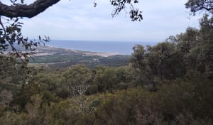 La Massane - Nathalie - 4