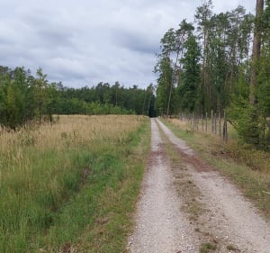 Okolice Nowego Stawu - RADOSŁAW - 2
