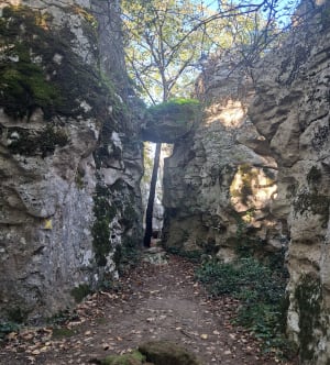 De Casteljau-lus - Jean-claude - 8