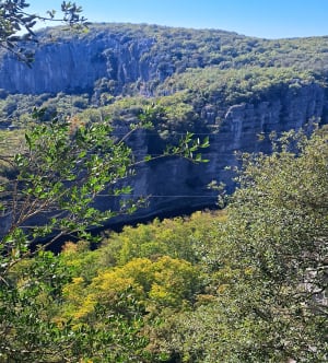 De Casteljau-lus - Jean-claude - 9