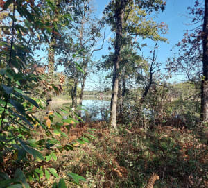 Jemaye Pond Loop en discrete ontmoetingen - Nathalie - 5