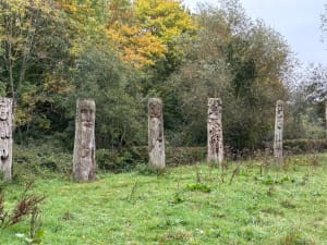 Forêt Ferrières-en-Brie - Patricia - 7