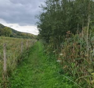 Petite balade entre rivière, forêt et plaine - Christophe - 5