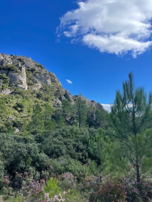 Aventure pittoresque au cœur du cirque de Mourèze - Mourèze - 5