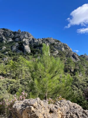 Aventure pittoresque au cœur du cirque de Mourèze - Mourèze - 4