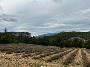 Lac de Monieux,ferme Saintt Hubert, gorges de la Nesque - Marie Pierre - 6
