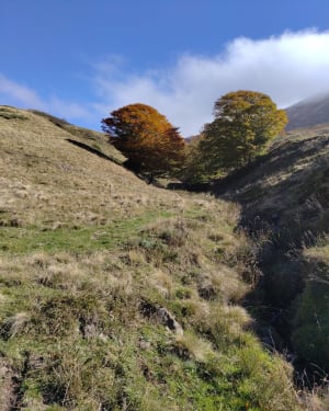 Klim naar de Col de Cabre en kom moeflons en marmotten tegen - Mathieu - 11