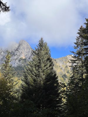 De Talloires au chalet d'Aulp - Lina - 7