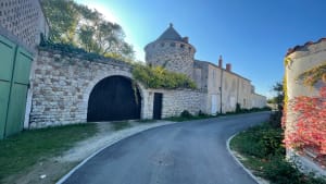 Balade au milieu de l’île d'Oléron et Marais de la Perroche - Jean Philippe - 5