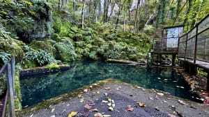 Promenade à la cascade des Tufs et petite source de la Cuisance - Les Planches-prés-Arbois - 7