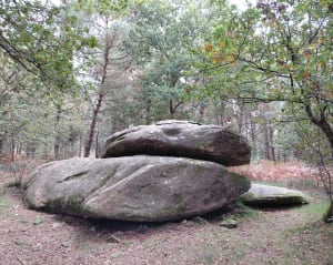 Sortie dans la Forêt de Lanvaux - MYRIAM - 6