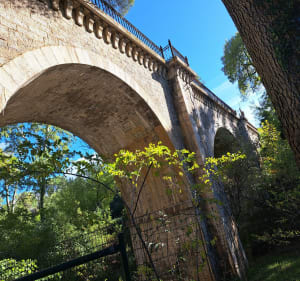 De Garrigue à la Gardiole - Francis - 3