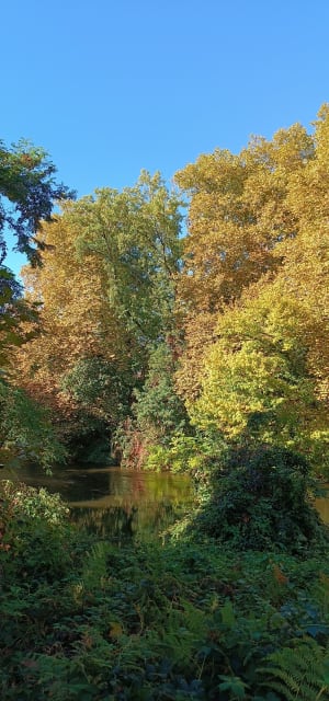 Du côté de la Borde Basse à Castres - Bernard - 4