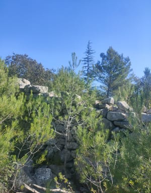 Lagnes, le Luberon le long du Mur de la Peste - Lagnes - 7