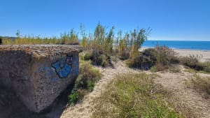 Le tour des marécages, entre étang et mer autour d'Agde - CHRISTEL - 6