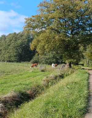 Butte de Vouhenans - Elodie - 3