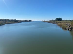 Le tour des marécages, entre étang et mer autour d'Agde - Anne - 3