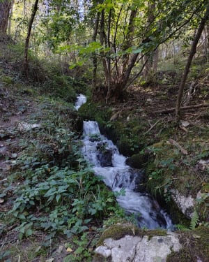 Fuilla, chemin de l'eau - Francois - 2