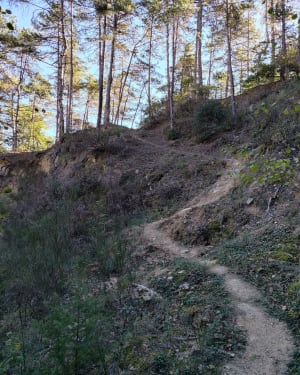 Fuilla, chemin de l'eau - Francois - 4