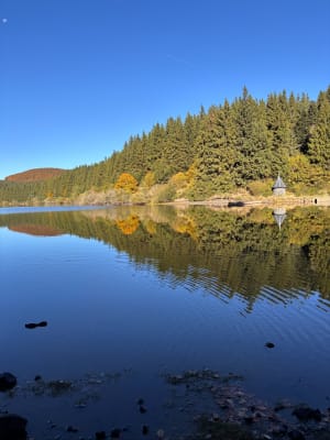 Boucle du Lac et du Puy de Montcineyre depuis Escoufort - Jordan - 3
