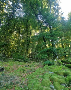 Randotrail Tarnac Corrèze - Yannick - 5
