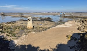 Île Madame - Gilles - 2