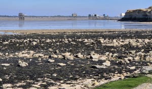 Île Madame - Gilles - 3
