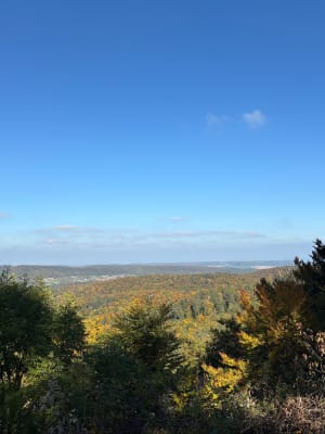 Allée des hêtres Glaserberg - Clavier - 3