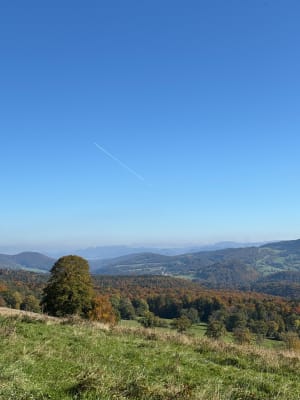 Allée des hêtres Glaserberg - Clavier - 4