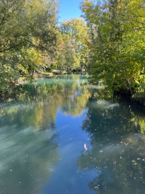 Mirebeau-sur-Bèze et amour de promenade dans les bois - Nicolas - 2