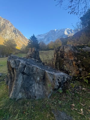 La Couaz, Champagny le haut - David - 4