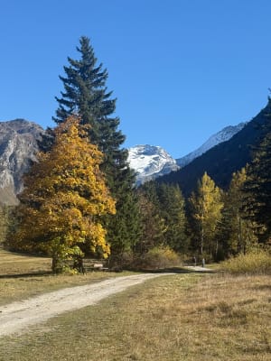 La Couaz, Champagny le haut - David - 5
