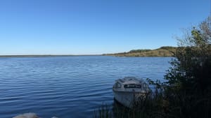 Balade fleurie et château, au Lac d'Aureilhan - Eric - 4