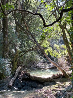 Source de l'Huveaune et Grotte de Castelette - Rémy - 6