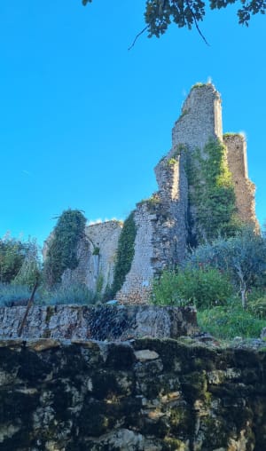 Gavaudun, dans la vallée de la Lède - Kenzo - 7