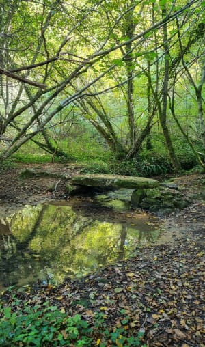 Gavaudun, dans la vallée de la Lède - Kenzo - 6