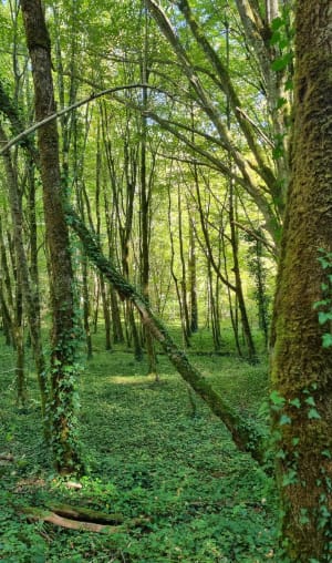 Gavaudun, dans la vallée de la Lède - Kenzo - 8
