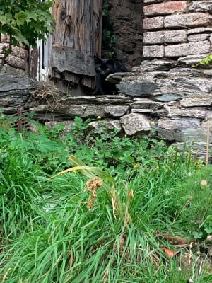 Randonnée à fumay - Françoise - 4