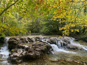 Promenade à la cascade des Tufs et petite source de la Cuisance - Les Planches-prés-Arbois - 3