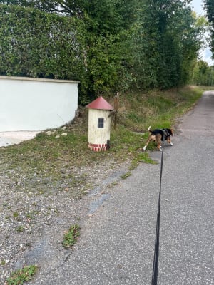 Saint-Martin-de-la-Lieue entre amis en pays d'Auge - marie - 3