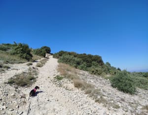 Caumont-sur-Durance, le sentier de Garance - Sandra - 2