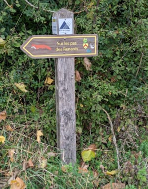 Le circuit des Baudets - Sandrine - 10