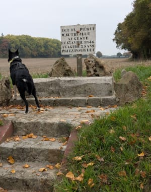 Le circuit des Baudets - Sandrine - 11