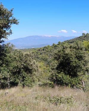 Autour de la Roque sur Pernes - thierry - 4