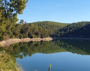 Le lac d'émeraude Carcès - Audrey - 4